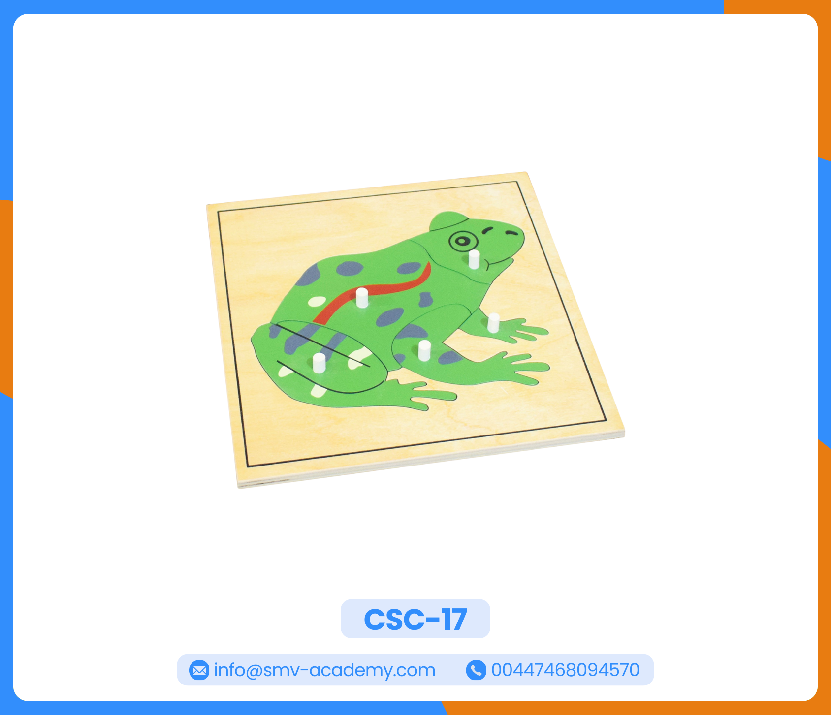 بازل أجزاء الضفدع